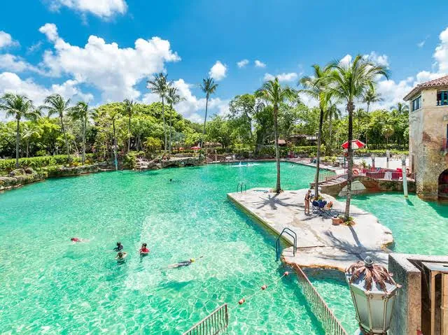 Large turquoise resort pool surrounded by palm trees and stone terraces