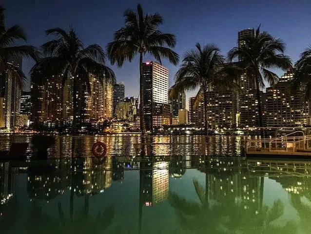 Night view of a waterfront city skyline reflected in still water, framed by palm trees